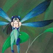 リュウキュウハグロトンボ