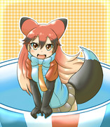 あかいきつねちゃん