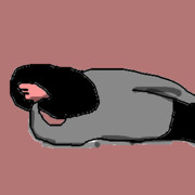 461006 ： 緑 ：2018/05/23(水) 23:38:05 タイトル:休み