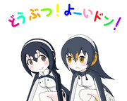 どうぶつ！よーいドン！