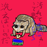 どうぶつ図鑑~アライグマ~