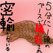 どうぶつ図鑑~センザンコウ~