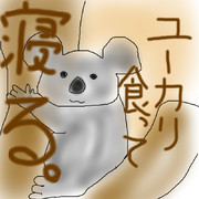 どうぶつ図鑑~コアラ~