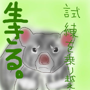 どうぶつ図鑑~タスマニアデビル 超克の悪魔~