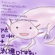 どうぶつ図鑑~メキシコサラマンダーって名前多くね？~
