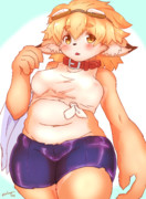 本日のドワチャン