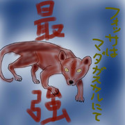 どうぶつ図鑑~フォッサ~