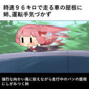 あおい～～～(ﾄﾞｯﾌﾟﾗｰ