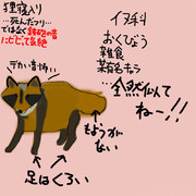 どうぶつ図鑑~たぬき~