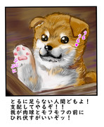ネットで拾ったわんこ画像があまりにも可愛かったので、即興で模写した