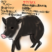 どうぶつ図鑑~クビワペッカリー~