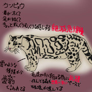 どうぶつ図鑑~ウンピョウ~