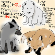 どうぶつ図鑑~キツネ三種盛り~
