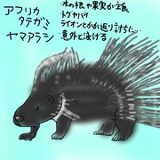 どうぶつ図鑑~アフリカタテガミヤマアラシ~