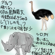 どうぶつ図鑑~サイ＆ダチョウ~