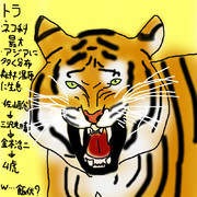 どうぶつ図鑑~トラ~