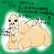 どうぶつ図鑑~フタコブラクダ~