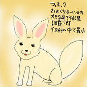 どうぶつ図鑑~フェネック~