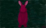 暗い紅色のうさぎ　Dark Pink Rabbit