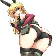 バージニア グリンベレー ニコニコ静画 イラスト