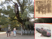 重桜ゆかりの地を訪ねて～戦勝祈願の神社