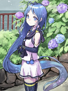 けっこう好きなんです