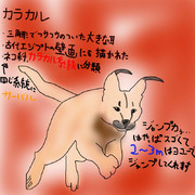 どうぶつ図鑑~カラカル~