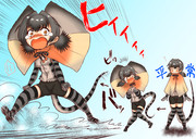 エリマキトカゲ けものフレンズ ニコニコ静画 イラスト
