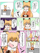 モメるキタキツネ