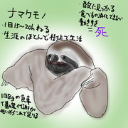 どうぶつ図鑑~ナマケモノ~