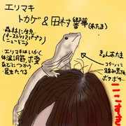 どうぶつ図鑑~エリマキトカゲ~