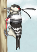 防空駆逐艦「キツ月」