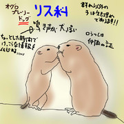 どうぶつ図鑑~オグロプレーリードッグ~