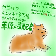 どうぶつ図鑑~カピバラ~