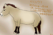 どうぶつ図鑑~モウコノウマ~