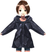 蒟蒻の質感..色々..