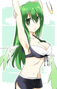 夏ですので