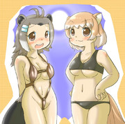 夏こはんコンビ