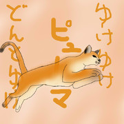 どうぶつ図鑑~ピューマ~