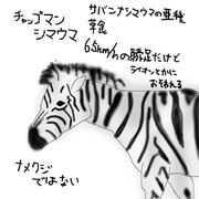 どうぶつ図鑑~チャップマンシマウマ~