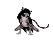猫娘 3d