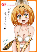 グラビアフレンズ(狩) ②サーバル