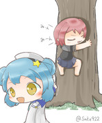 ねえ提督！あれが日本のセミなの？