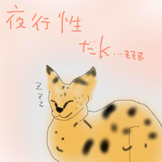 どうぶつ図鑑~居眠りしてるサーバル~