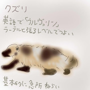 どうぶつ図鑑~クズリ~