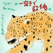 どうぶつ図鑑~ジャガー~