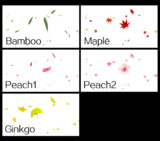 【MME】竹 · 楓 · 桃 · 銀杏