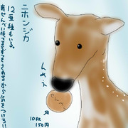 どうぶつ図鑑~ニホンジカ~