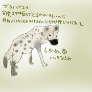 どうぶつ図鑑~ブチハイエナ~