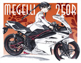 Megelli 250r